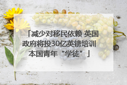 减少对移民依赖 英国政府将投30亿英镑培训本国青年“学徒”